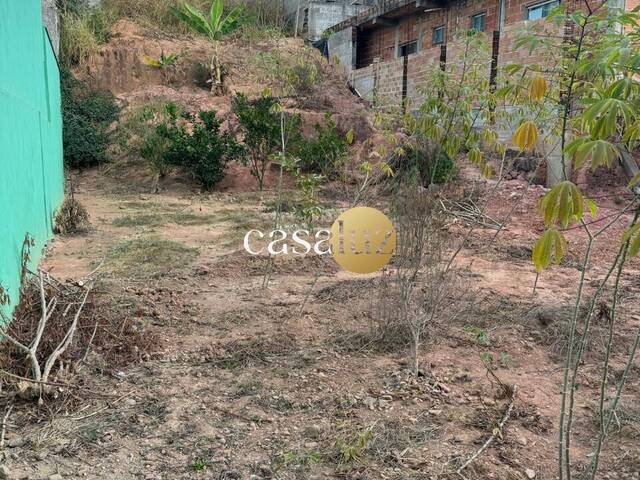 #TE0035 - Terreno para Venda em Sarzedo - MG