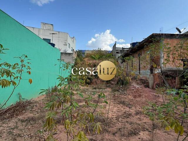 #TE0035 - Terreno para Venda em Sarzedo - MG