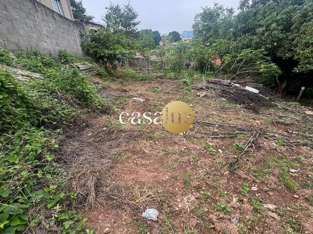 #TE0040 - Terreno para Venda em Sarzedo - MG