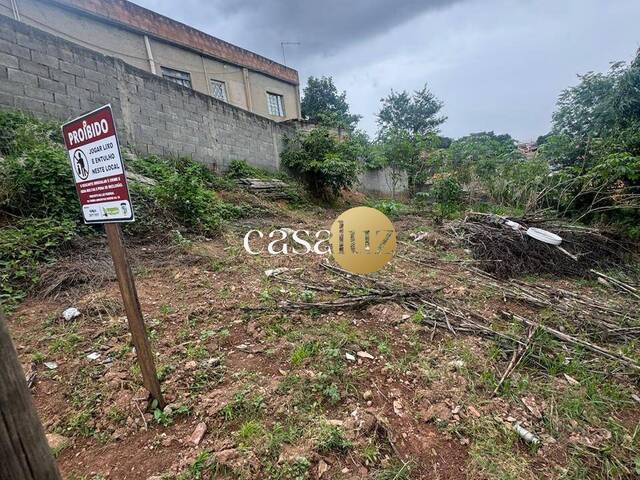 #TE0040 - Terreno para Venda em Sarzedo - MG