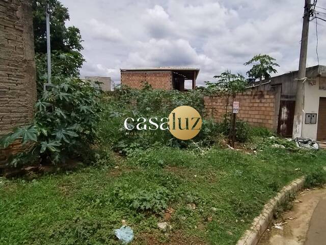#TE0041 - Terreno para Venda em Mário Campos - MG