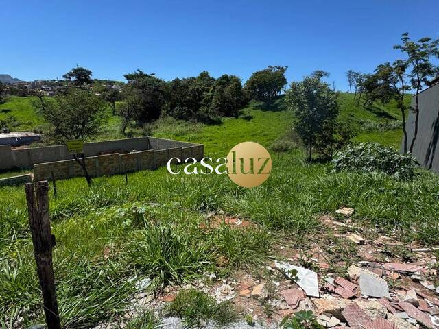 Terreno para Venda em Sarzedo - 4