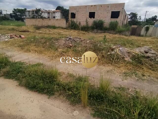 #TE0052 - Terreno para Venda em Sarzedo - MG
