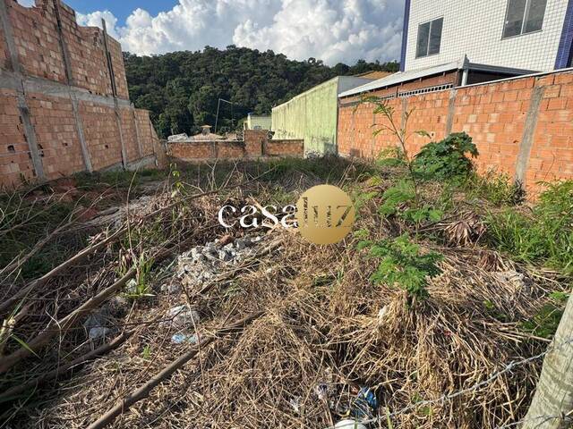 #TE0059 - Terreno para Venda em Sarzedo - MG