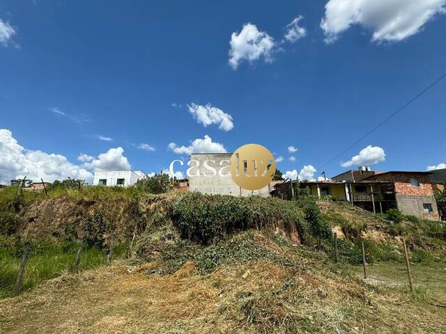 Terreno para Venda em Mário Campos - 4