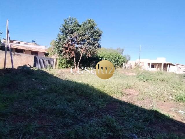 Terreno para Venda em Mário Campos - 5