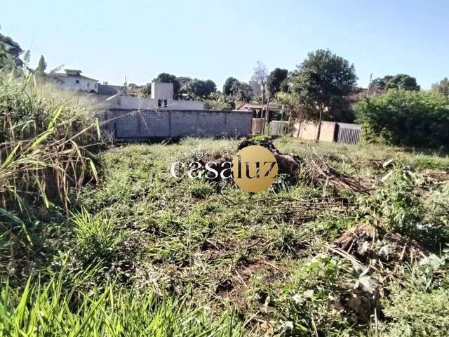 Terreno para Venda em Mário Campos - 4