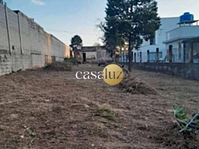 #TE0068 - Terreno para Venda em Sarzedo - MG