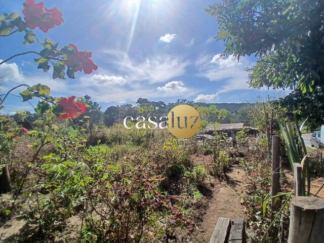 Terreno para Venda em Sarzedo - 5