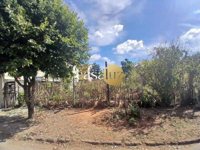 Terreno para Venda em Sarzedo - 4
