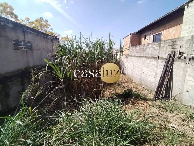 Terreno para Venda em Sarzedo - 5