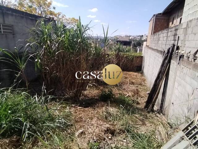 Terreno para Venda em Sarzedo - 4