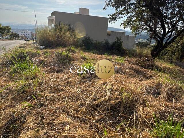Terreno para Venda em Sarzedo - 4