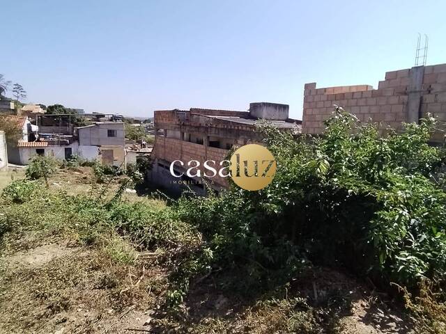 Terreno para Venda em Sarzedo - 4