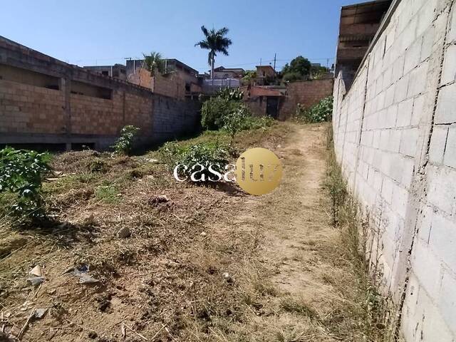 #TE0087 - Terreno para Venda em Sarzedo - MG