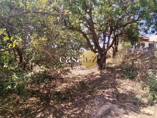 #TE0088 - Terreno para Venda em Sarzedo - MG