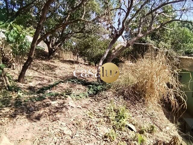#TE0088 - Terreno para Venda em Sarzedo - MG