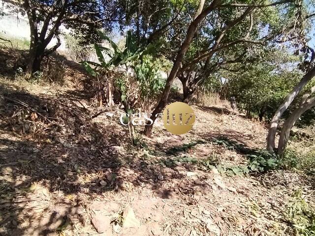 Terreno para Venda em Sarzedo - 4