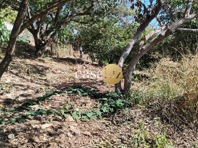 Terreno para Venda em Sarzedo - 5