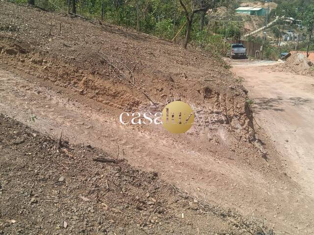 Terreno para Venda em Mário Campos - 4