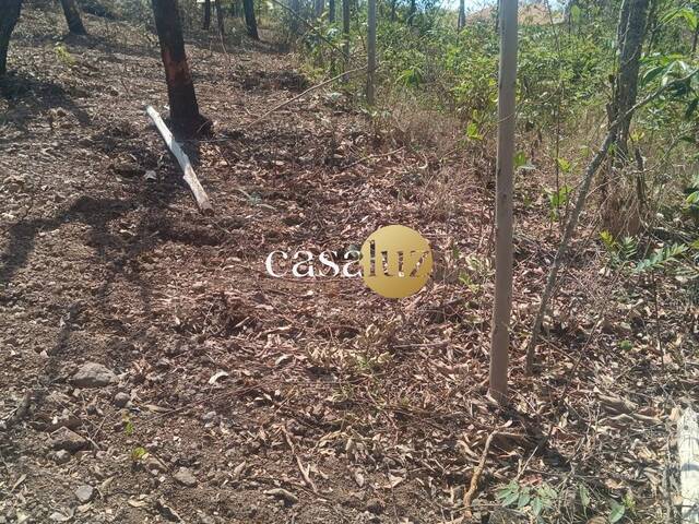 #CH0029 - Chácara para Venda em Mário Campos - MG