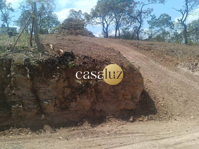 Terreno para Venda em Mário Campos - 5
