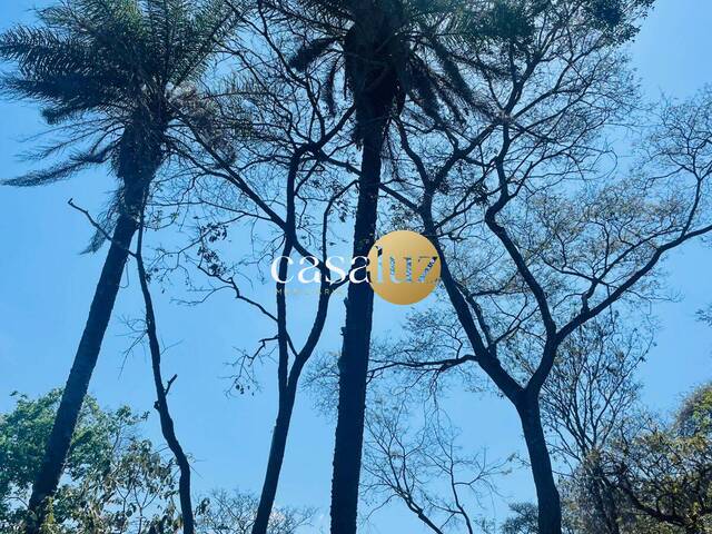 #TE0089 - Terreno para Venda em Mário Campos - MG