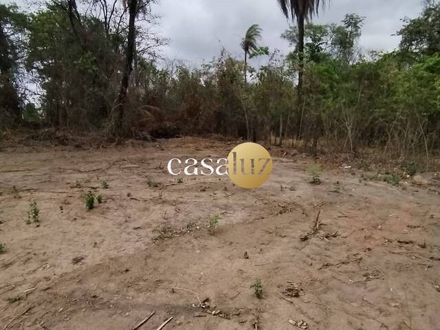 #TE0092 - Terreno para Venda em Sarzedo - MG