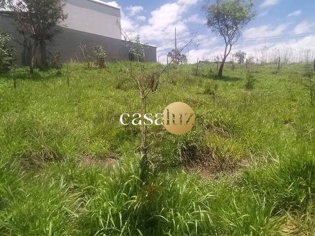 #TE0096 - Terreno para Venda em Sarzedo - MG