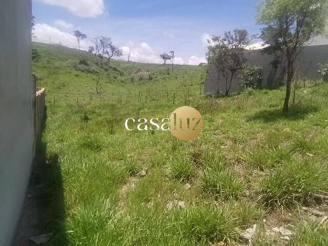 Terreno para Venda em Sarzedo - 4