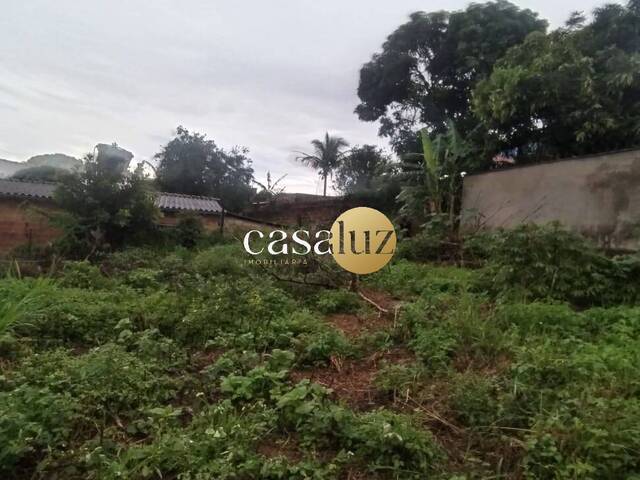 #TE0107 - Terreno para Venda em Mário Campos - MG