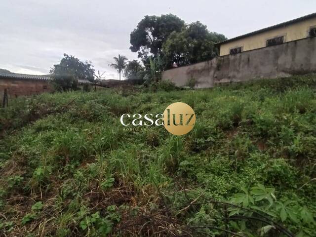 Terreno para Venda em Mário Campos - 4