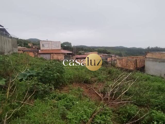 Terreno para Venda em Mário Campos - 5