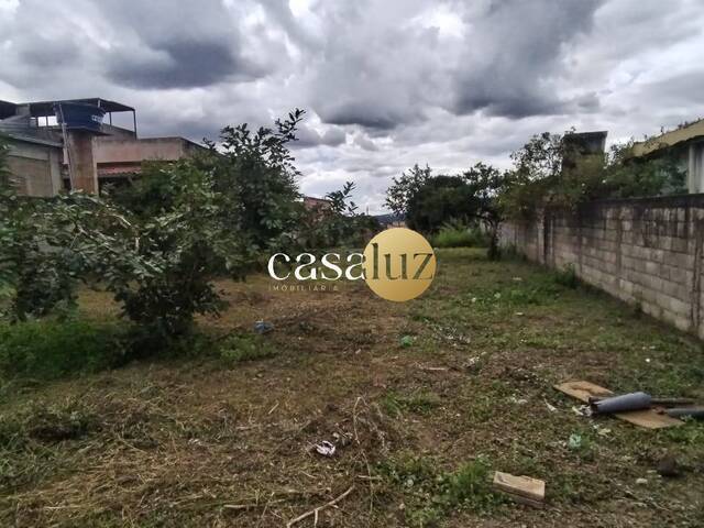 Terreno para Venda em Sarzedo - 4