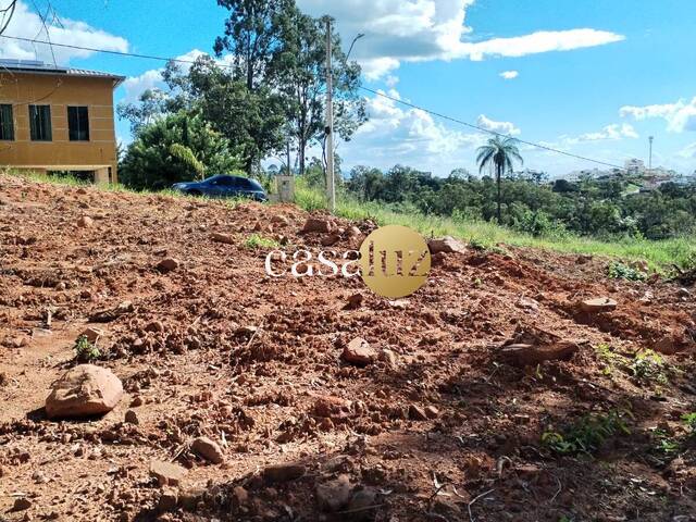 #TE0114 - Terreno para Venda em Sarzedo - MG