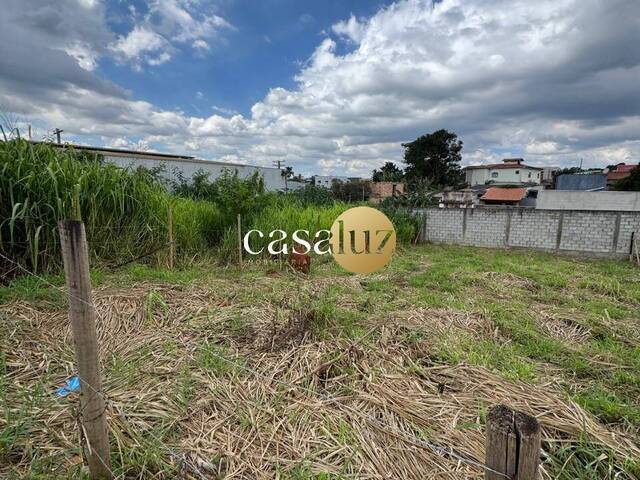 #TE0117 - Terreno para Venda em Mário Campos - MG