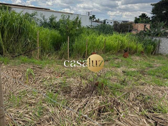 #TE0117 - Terreno para Venda em Mário Campos - MG