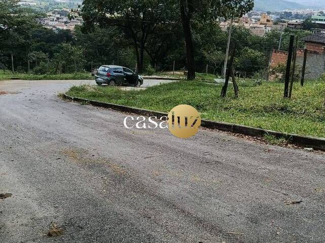 Terreno para Venda em Sarzedo - 2