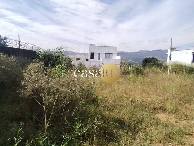 Terreno para Venda em Sarzedo - 2