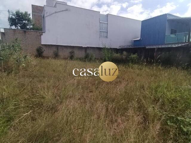 Terreno para Venda em Sarzedo - 5