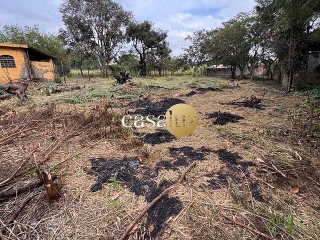 Terreno para Venda em Mário Campos - 5
