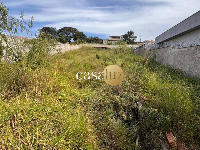 Terreno para Venda em Betim - 5