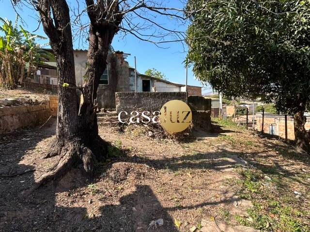 Terreno para Venda em Sarzedo - 3