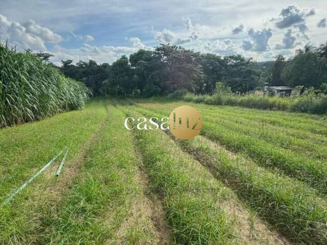 #TE0019 - Terreno para Venda em Betim - MG