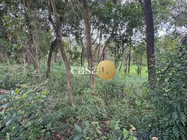 #TE0019 - Terreno para Venda em Betim - MG