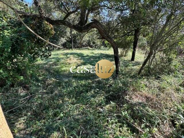 #TE0026 - Terreno para Venda em Sarzedo - MG