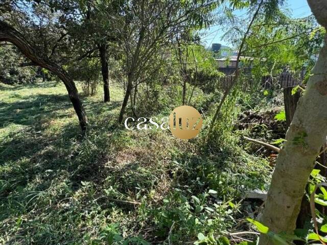 #TE0026 - Terreno para Venda em Sarzedo - MG
