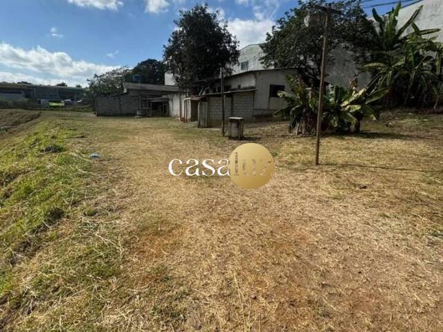 Terreno para Venda em Sarzedo - 5