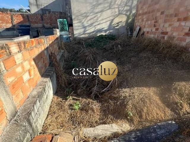 #TE0027 - Terreno para Venda em Sarzedo - MG